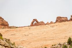 IMG 3064