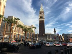 IMG 0661