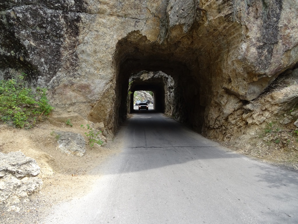 DSC02204
