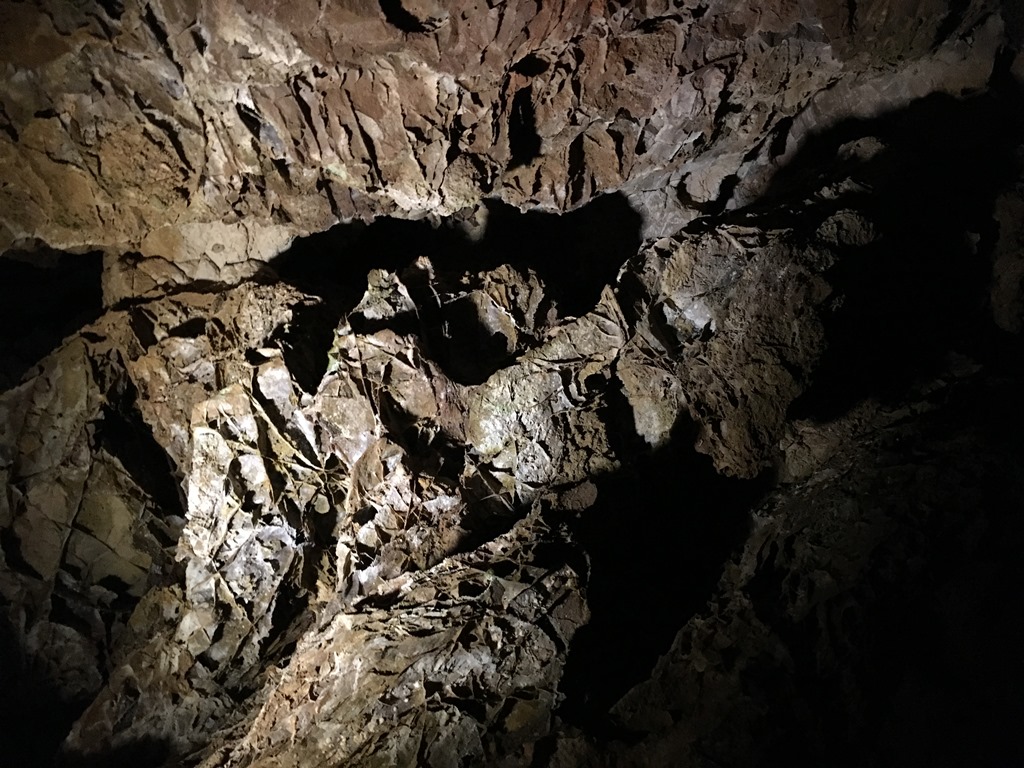 Box Formation