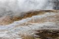 IMG 5971