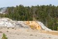 IMG 5976