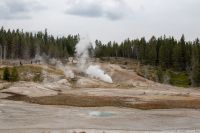 IMG 6043