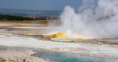 IMG 6061